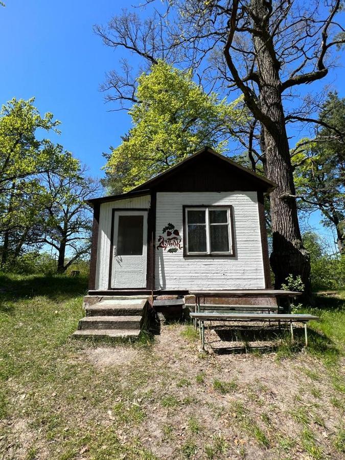 Hotel Baza Vidpochinku Energia Rudnya Peskovskaya Exterior foto